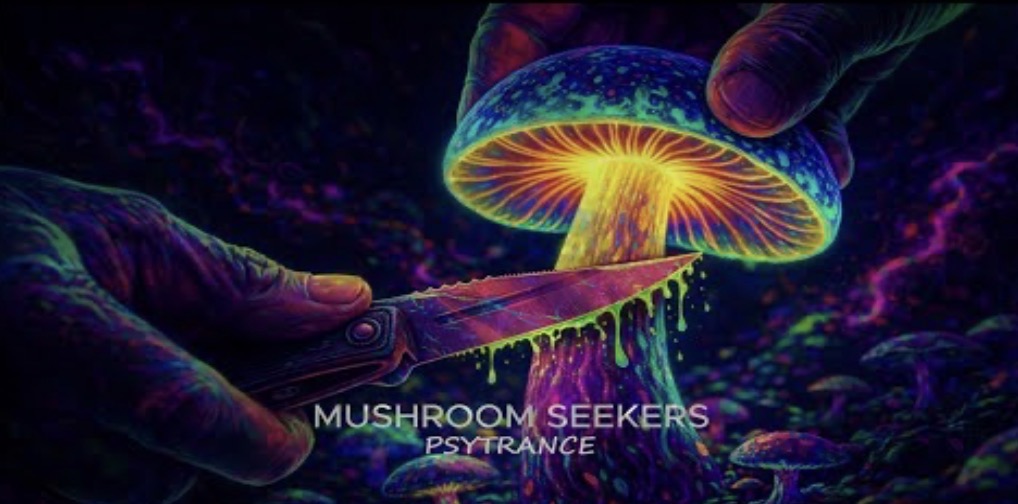 Mushroom seekers_Psytrance 2025_December_EDM by Psycogoa #Psychedelic #Goa #Trance #edm #ravemusic